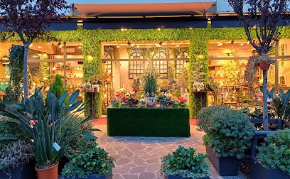 The Clover Daniela Bernabei, Fiorista a Rimini