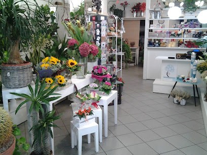 Fioreria Di Patrizia Parigi, Fiorista a Firenze