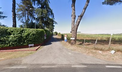 Rosella Antonelli, Fiorista a Roma