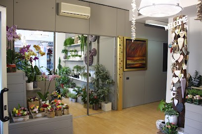 Naxos Di Berghella Ivan, Fiorista a Pescara