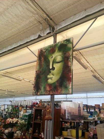 L'Orchidea di Massimiliano Zaffaroni, Fiorista a Olgiate Comasco