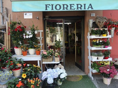 Fioreria Peli Giorgio, Fiorista a Concesio