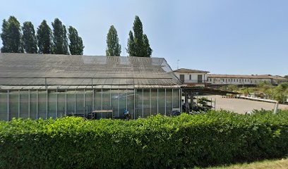 Floricoltura Cristofolini, Fiorista a Castelverde