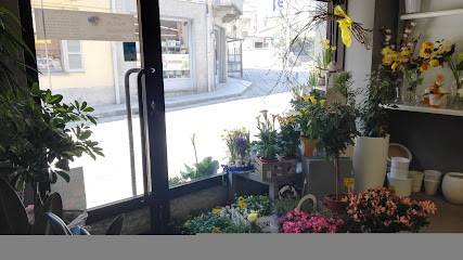 Fiori Di Fiordaliso, Fiorista a Paesana