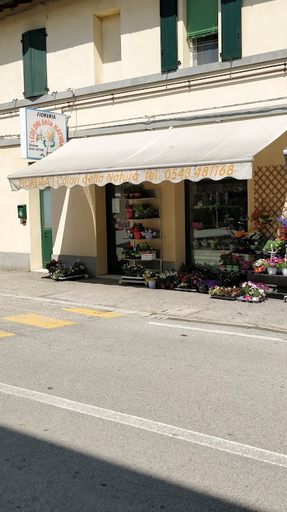 I Colori Della Natura, Fiorista a Forlì