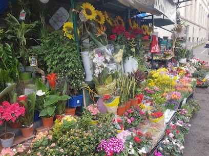 La Margherita Sas, Fiorista a Roma