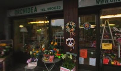 L'Orchidea Di Sara - Occhieppo Inferiore - Biella, Fiorista a Occhieppo Inferiore