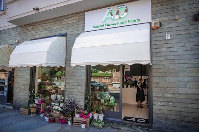 Fiorista AD Natural Flowers - Consegna Fiori Torino, Fiorista a Torino