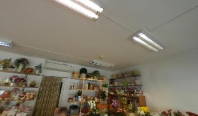 L'Edera Fiori E Piante Grosseto, Fiorista a Grosseto