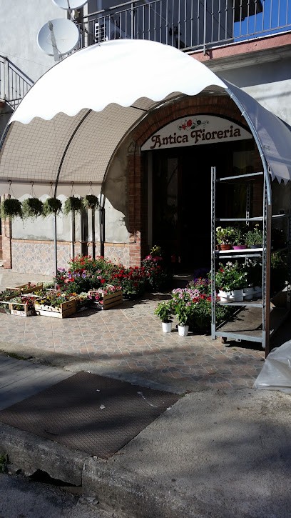 ANTICA FIORERIA, Fiorista a Soveria Mannelli