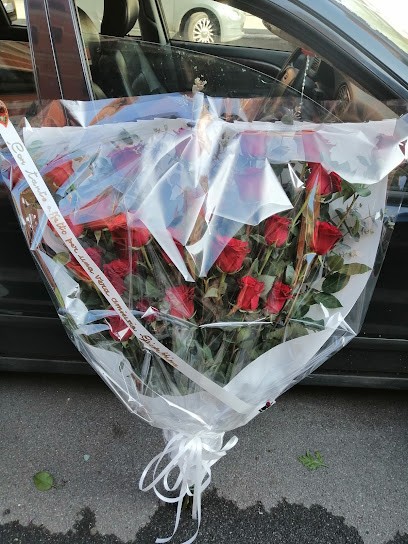 Fiori E Piante, Fiorista a Roma