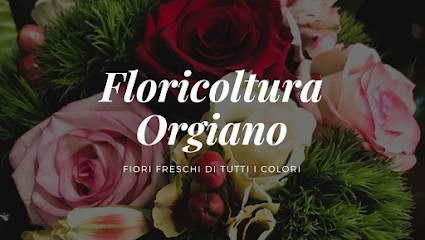 Floricoltura E Zootecnia Salvatore Orgiano, Fiorista a Ussana