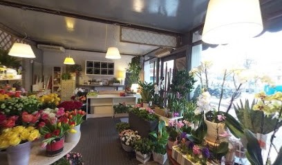 Floranne, Fiorista a Padova