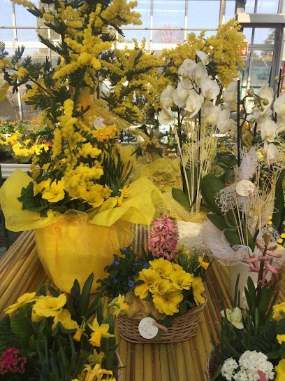F.lli Mazza piante giardini e manutenzione del verde, Fiorista a Arcore