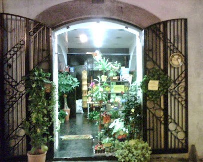 Pellecchia Massimo Fiorista, Fiorista a Salerno