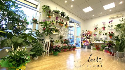 Luisa Fiori Di Tummarello Silvia, Fiorista a Paderno Dugnano