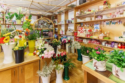 Fioreria Angolo Verde Zoldo, Fiorista a Val di Zoldo