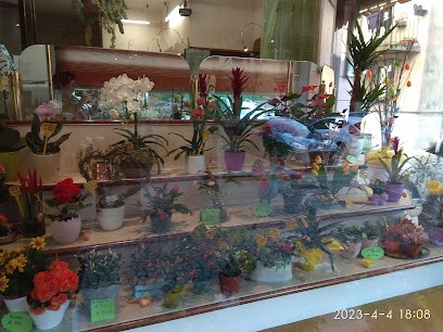 Desideri, Fiorista a Moggio Udinese