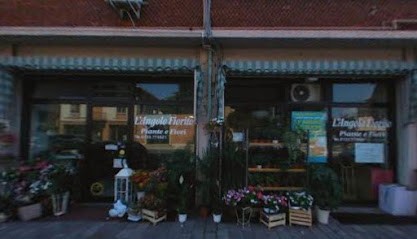 L'Angolo Fiorito Di Costa Roberta Macarate, Fiorista a Civitanova Marche