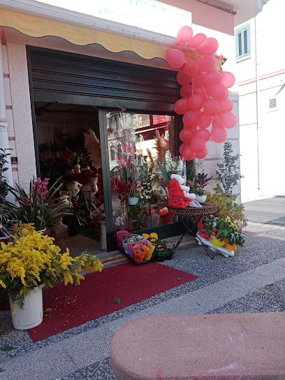 Fiori e piante ornamentali di Caprioli Antonio Cosimo, Fiorista a San Ferdinando di Puglia
