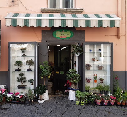 OKSANA FIORI, Fiorista a Vico Equense