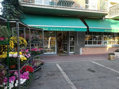 Monica Fiori E Piante Di Fontechiari Monica, Fiorista a Castelnovo di Sotto