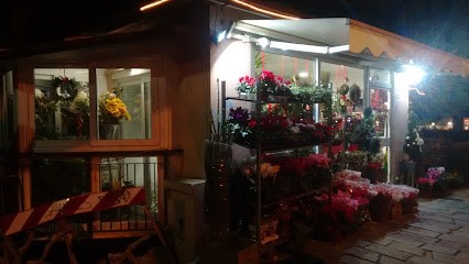 Veranda Dei Fiori, Fiorista a Genova