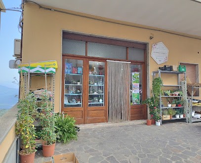 Il Sogno Fiorito, Fiorista a Aquara