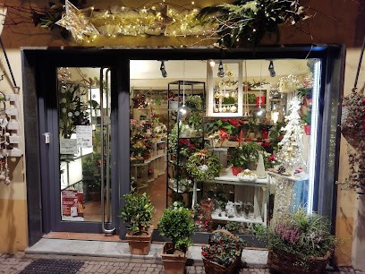 Rita Fiori Addobbi Floreali, Fiorista a Chieri