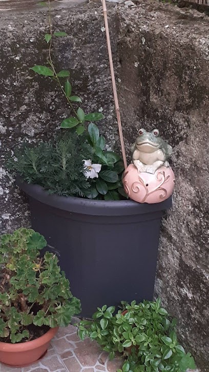 Prevosti Piante, Fiorista a Genova