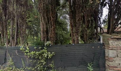 Coimf Snc Di Di Giorgio Walter & C., Fiorista a Arezzo