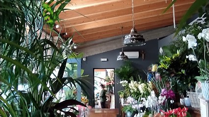 Fioreria Patrizia E Monia, Fiorista a Velletri