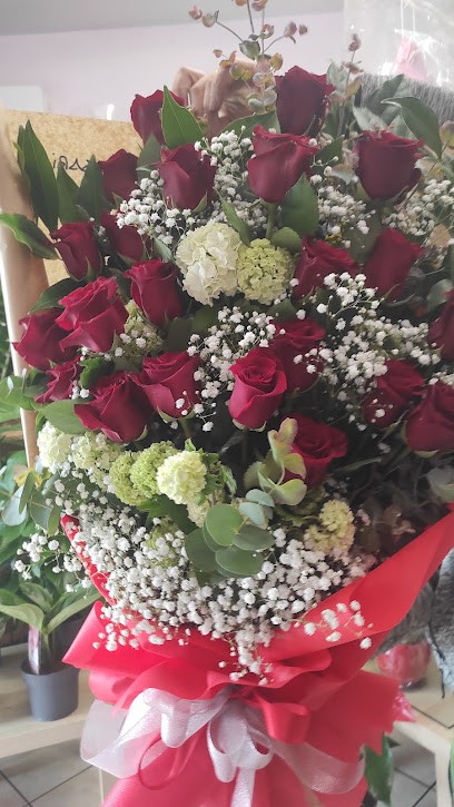 Piante E Fiori La Margherita, Fiorista a Quarto