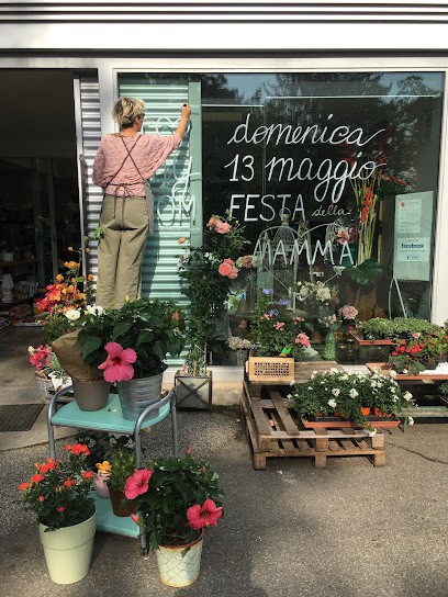 Fioreria Il Chiosco Di Lidia, Fiorista a Poviglio