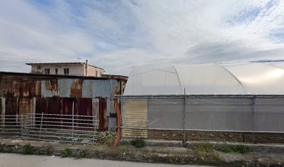 C.S.T Bulbi Da Fiore, Fiorista a Castellammare di Stabia