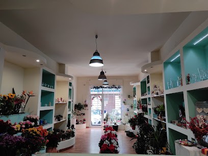 Flower world, Fiorista a Gioia del Colle