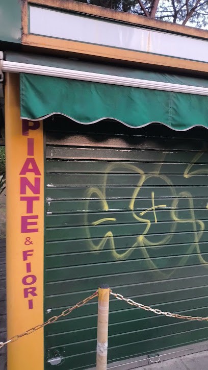 Piante E Fiori Fratelli Aversa, Fiorista a Roma