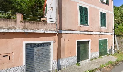 Agraria ALTA Valbisagno M&G, Fiorista a Bargagli