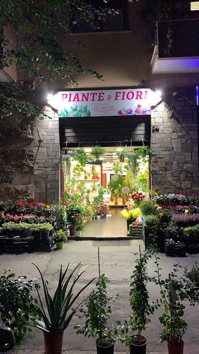 Fioraio Malatesta Pigneto “Piante E Fiori Germina”, Fiorista a Roma