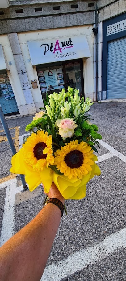 Fioreria La Camelia Di Albertini Nicolò, Fiorista a Villanuova sul Clisi