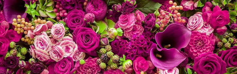 Elemflora, Fiorista a Sanremo