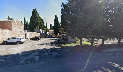 L'Orchidea S.N.C. Di Socciarelli R. E G., Fiorista a Vetralla