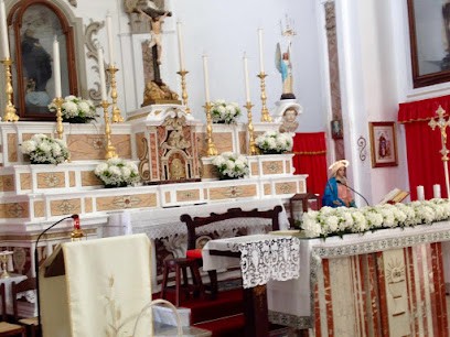 Orchidea Piante&Fiori, Fiorista a San Nicola Arcella