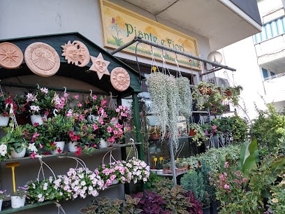 Garden 2000, Fiorista a Sabaudia