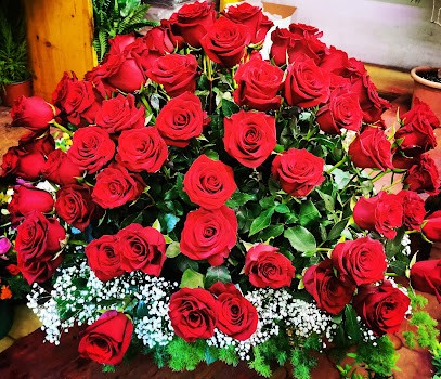 Passeri Carla, Fiorista a Genzano di Roma