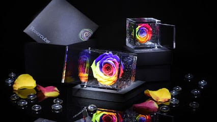 Il Girasole - Fiori, Piante E Servizi Di Giardinaggio, Fiorista a Venezia