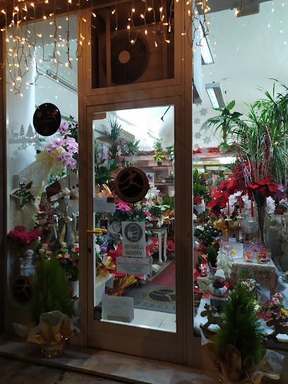 Fiori E Piante Florart Di Sauro Murgia, Fiorista a Oristano