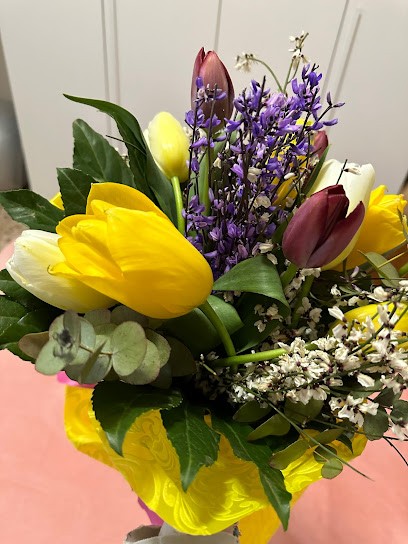 Fioreria Dianella Snc, Fiorista a Copparo