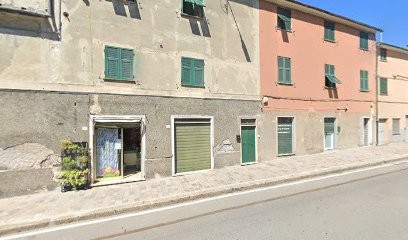 Albanese Stefania Fiori Piante Bomboniere, Fiorista a Genova