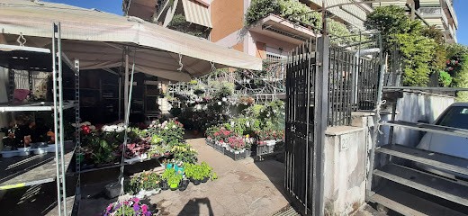 Panunzi Arcangelo, Fiorista a Roma